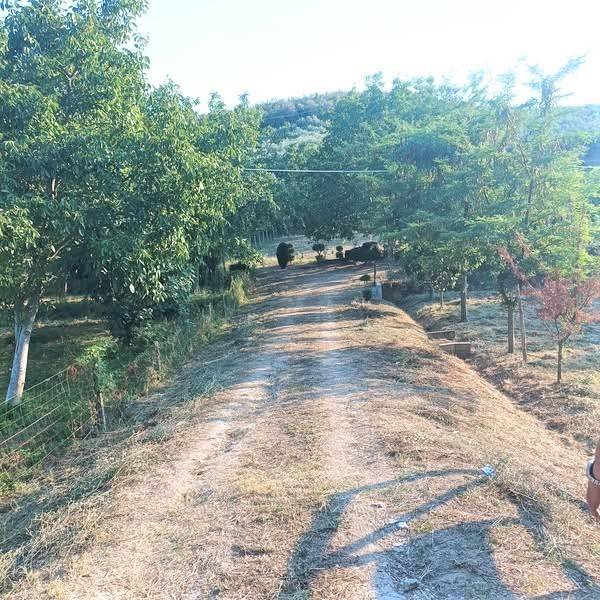 terreno agricolo in vendita a Loreto Aprutino