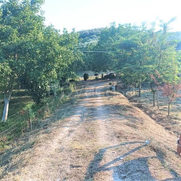 terreno agricolo in vendita a Loreto Aprutino