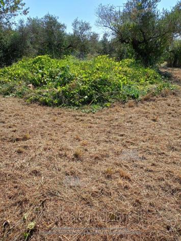 terreno edificabile in vendita a Loreto Aprutino