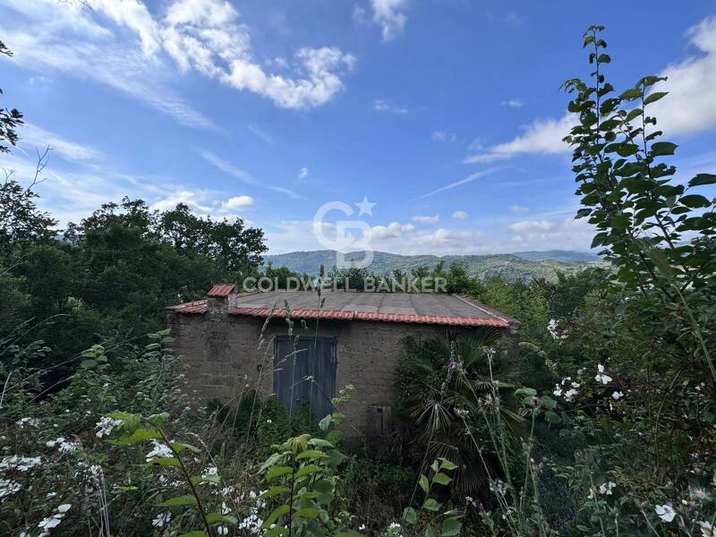 terreno agricolo in vendita a Loreto Aprutino
