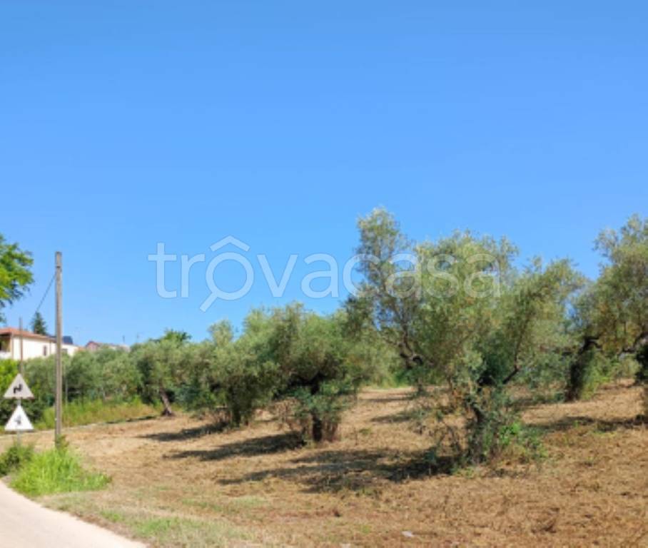 terreno agricolo in vendita a Loreto Aprutino