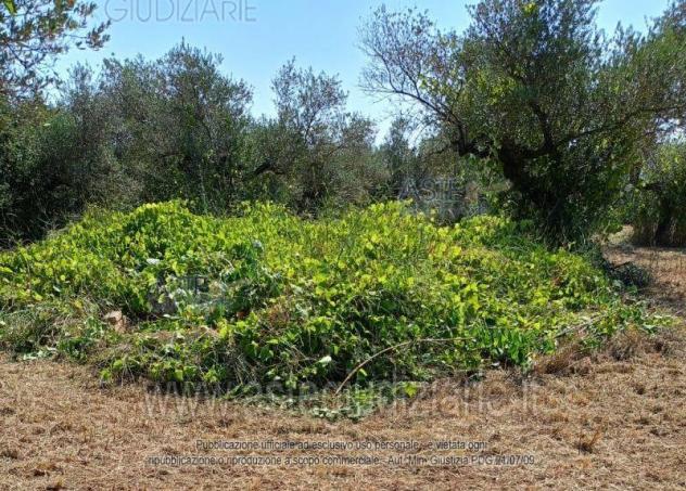 terreno agricolo in vendita a Loreto Aprutino