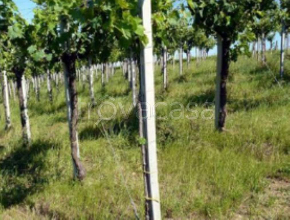 locale di sgombero in vendita a Loreto Aprutino in zona Cordano