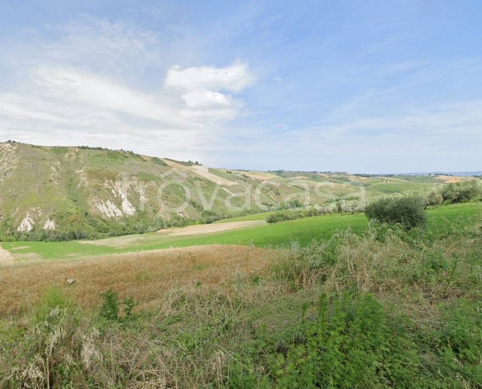 terreno agricolo in vendita a Loreto Aprutino