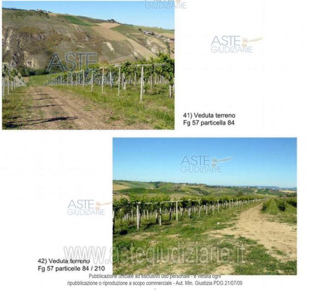 terreno agricolo in vendita a Loreto Aprutino in zona Cordano