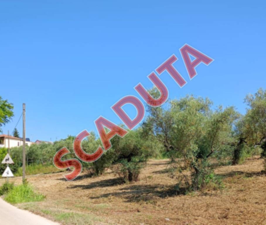 terreno agricolo in vendita a Loreto Aprutino