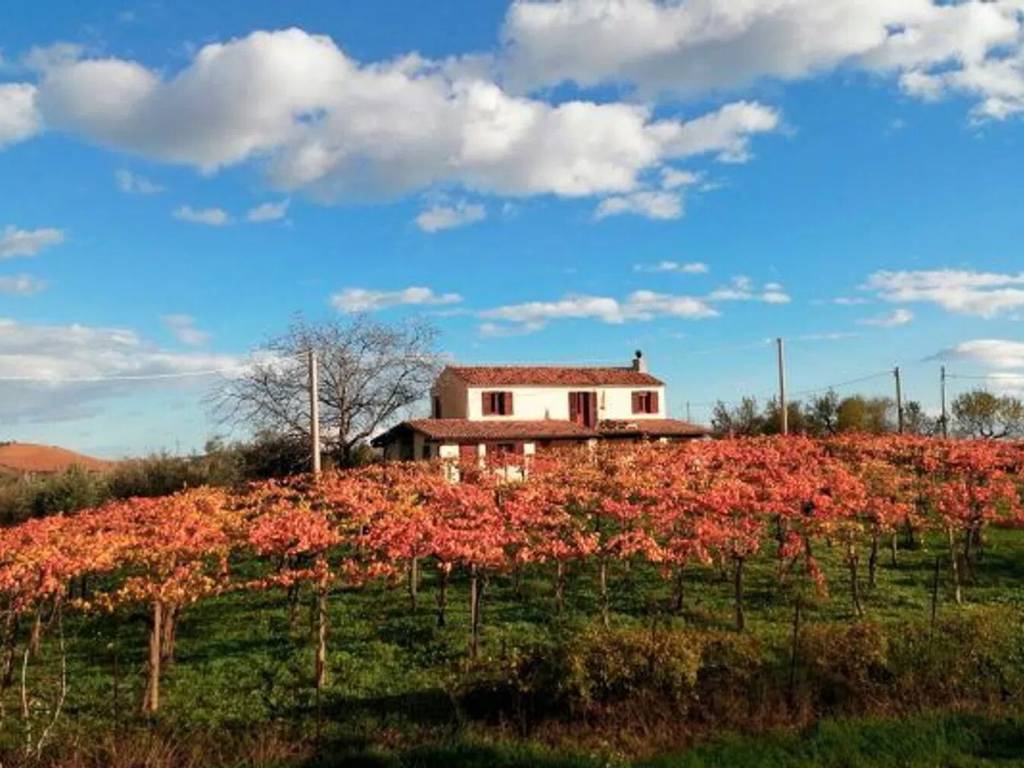 casa indipendente in vendita a Loreto Aprutino
