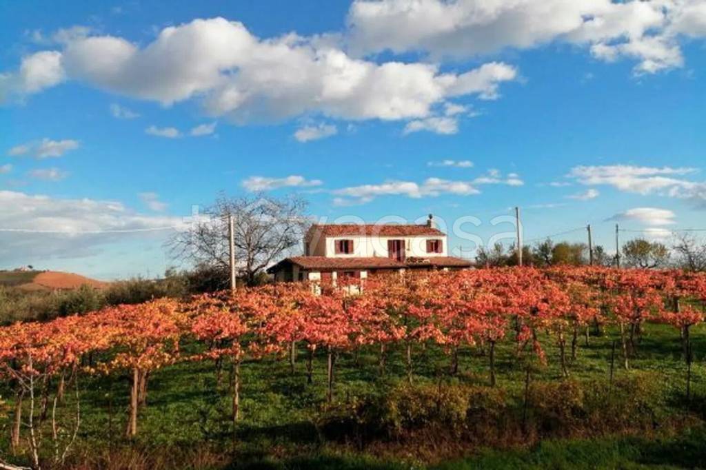 casa indipendente in vendita a Loreto Aprutino