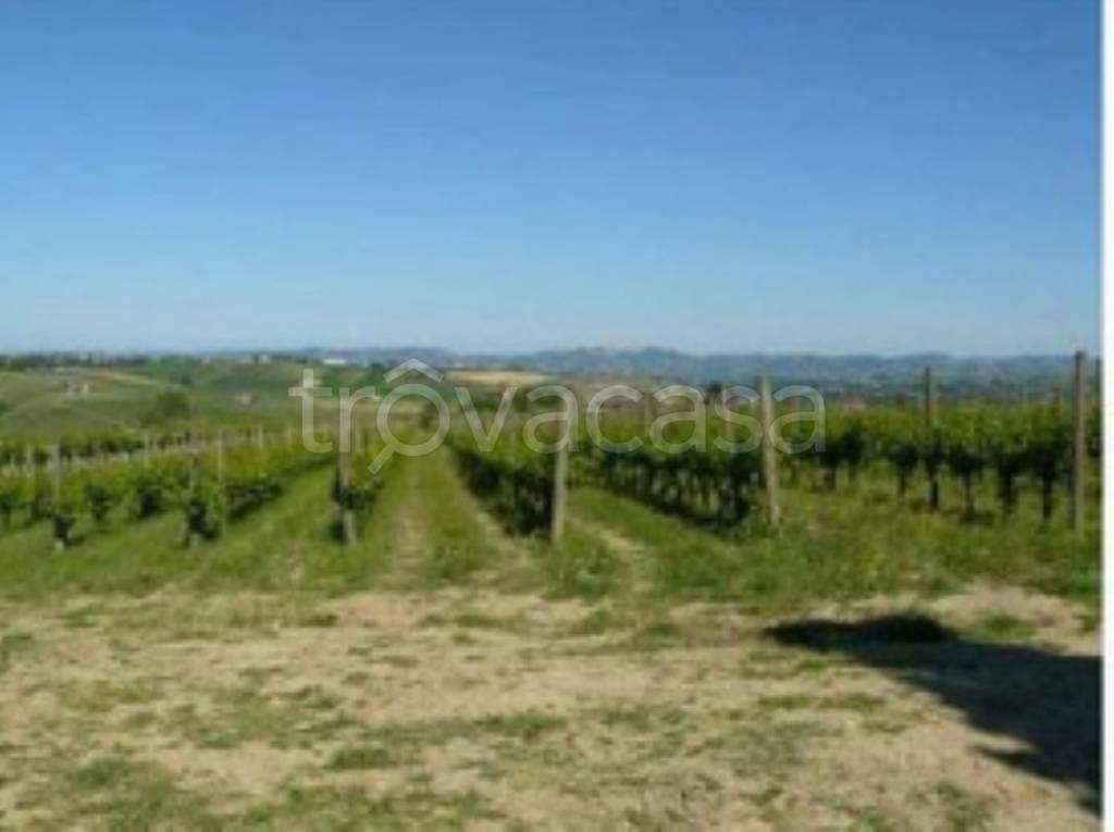 terreno agricolo in vendita a Loreto Aprutino in zona Cordano