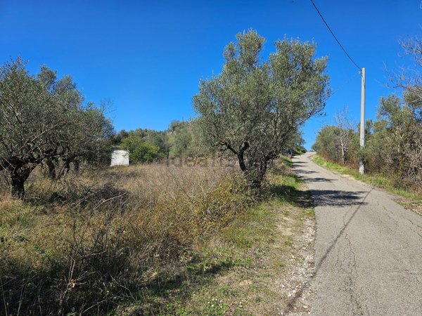terreno agricolo in vendita a Loreto Aprutino