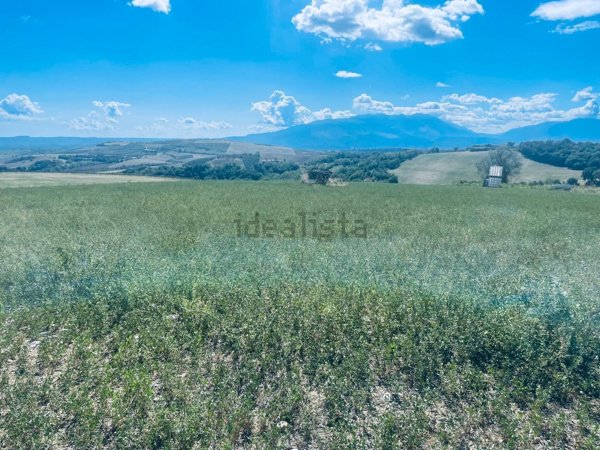 terreno agricolo in vendita a Loreto Aprutino