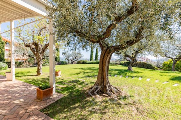 casa indipendente in vendita a Loreto Aprutino