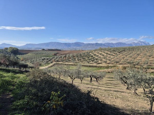 terreno agricolo in vendita a Loreto Aprutino