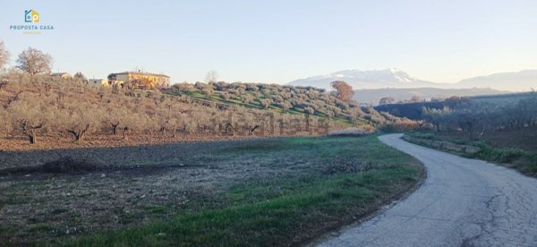 terreno agricolo in vendita a Loreto Aprutino in zona Fiorano