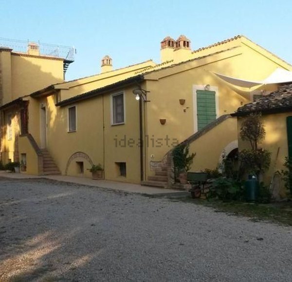 azienda agricola in vendita a Loreto Aprutino