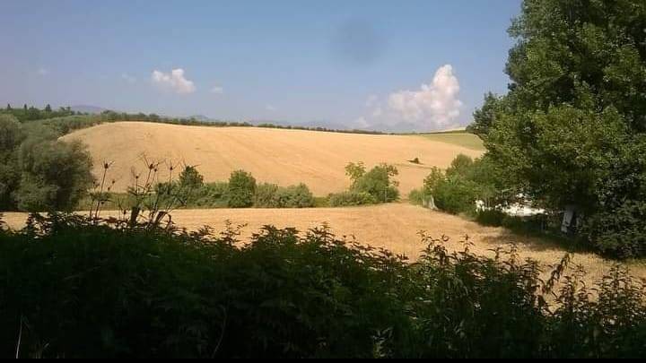 terreno edificabile in vendita a Loreto Aprutino