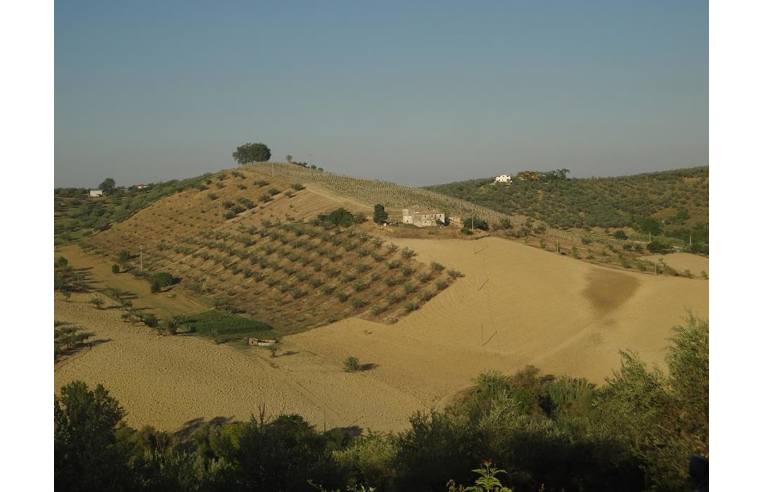 azienda agricola in vendita a Loreto Aprutino in zona Madonna degli Angeli