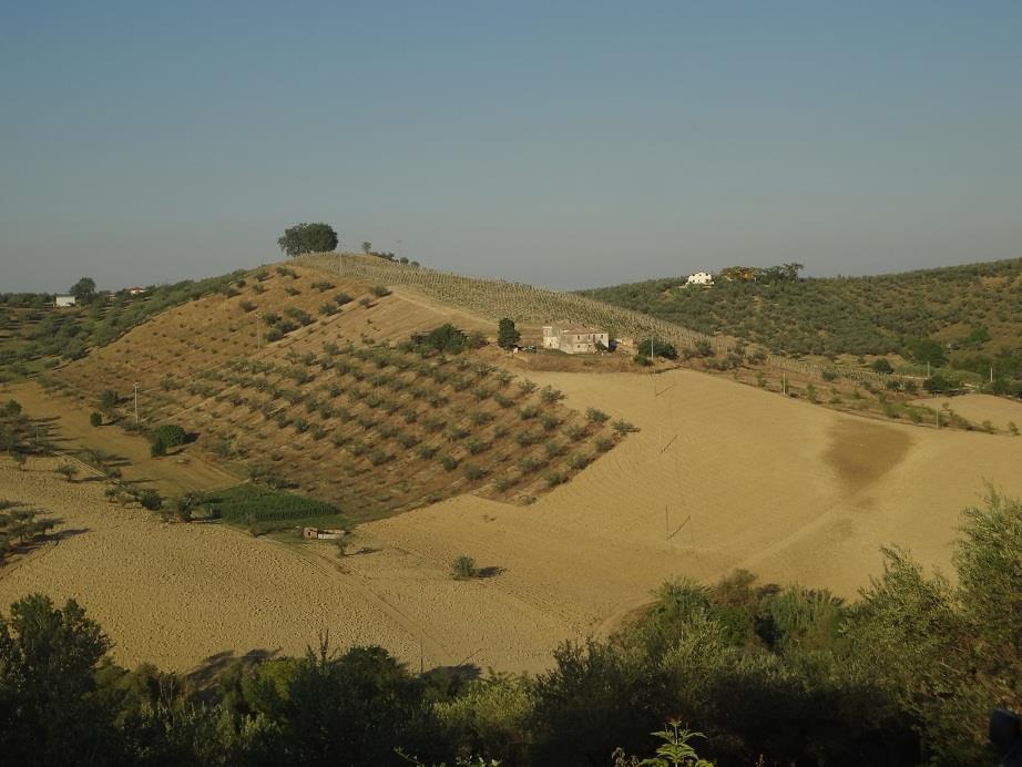 azienda agricola in vendita a Loreto Aprutino in zona Madonna degli Angeli