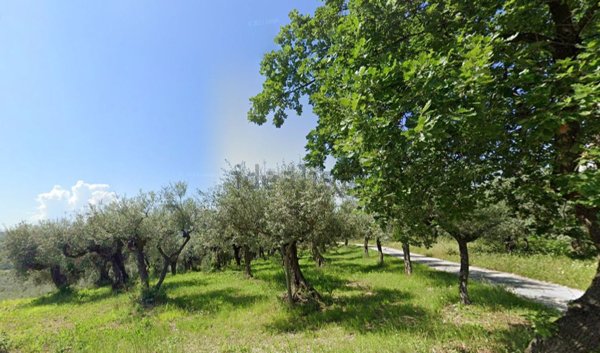 casa indipendente in vendita a Loreto Aprutino