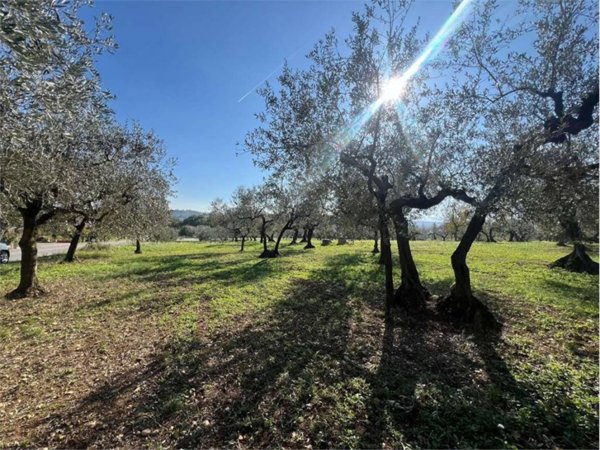 terreno edificabile in vendita a Loreto Aprutino in zona Sablanico