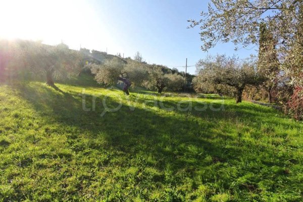 terreno agricolo in vendita a Loreto Aprutino in zona Scrizzetto