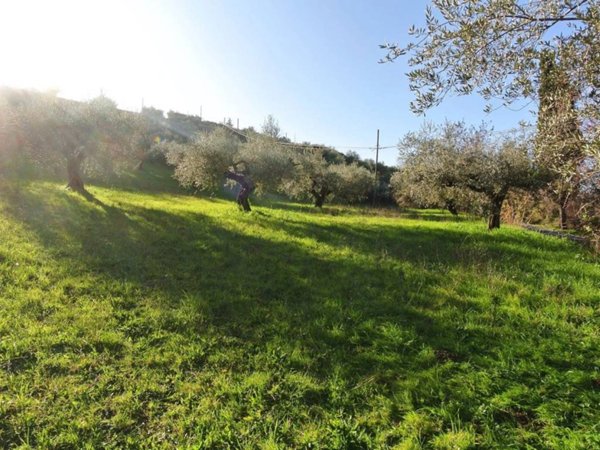 terreno agricolo in vendita a Loreto Aprutino in zona Scrizzetto