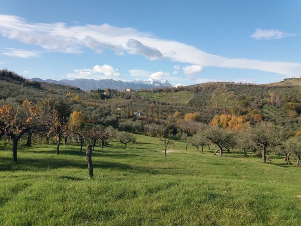 terreno in vendita a Loreto Aprutino in zona Pretore
