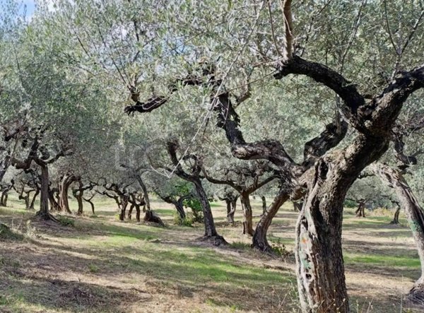 terreno in vendita a Loreto Aprutino