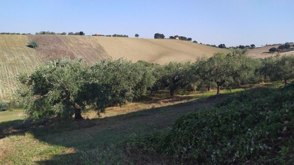 terreno agricolo in vendita a Manoppello in zona Manoppello Scalo
