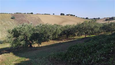 terreno agricolo in vendita a Manoppello in zona Ripacorbaria