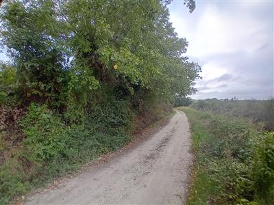 terreno agricolo in vendita a Manoppello