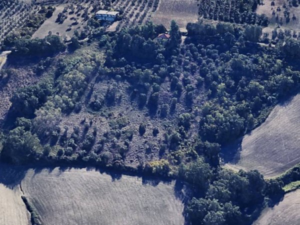 terreno agricolo in vendita a Manoppello