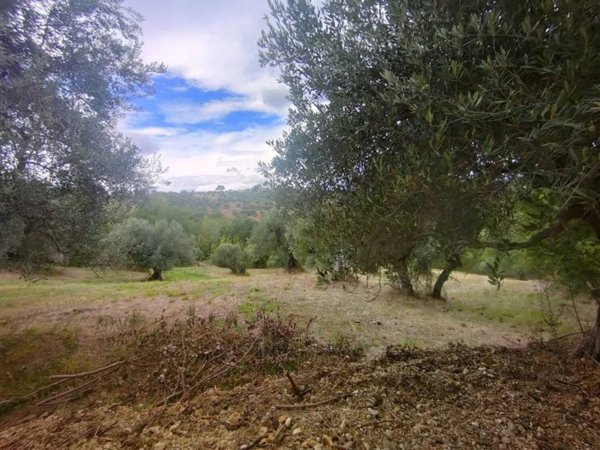casa indipendente in vendita a Manoppello