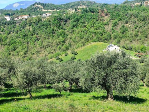 terreno agricolo in vendita a Manoppello