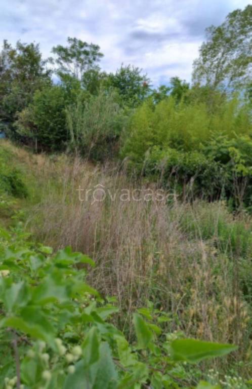 terreno agricolo in vendita a Manoppello in zona Manoppello Scalo