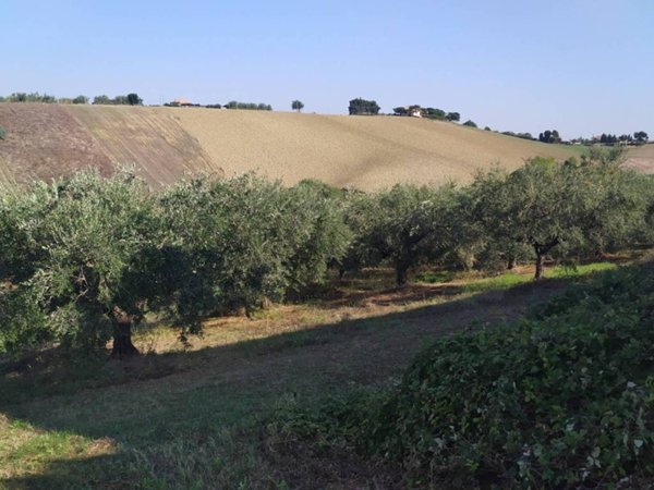 terreno agricolo in vendita a Manoppello in zona Manoppello Scalo