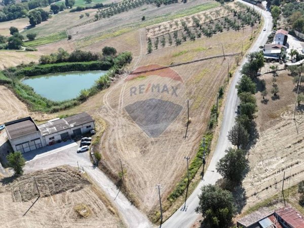 terreno agricolo in vendita a Manoppello