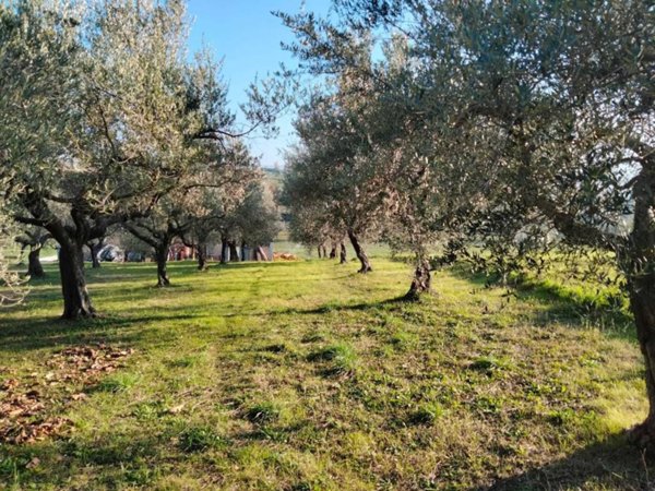 terreno edificabile in vendita a Manoppello