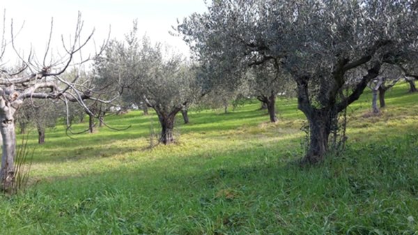 terreno edificabile in vendita a Manoppello