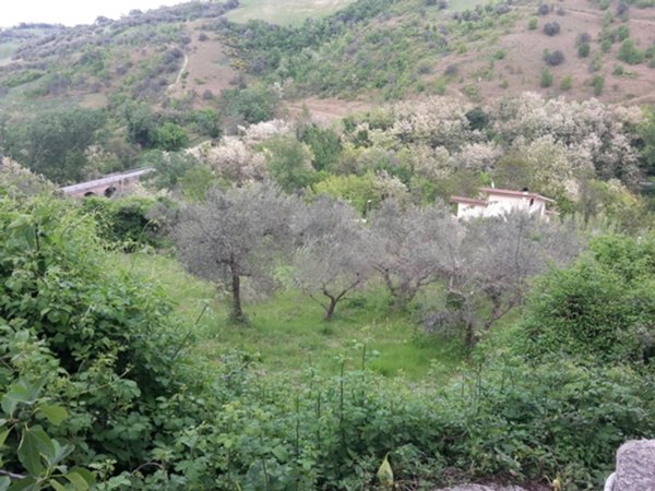 terreno edificabile in vendita a Manoppello