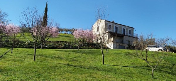 quadrivano in vendita a Manoppello