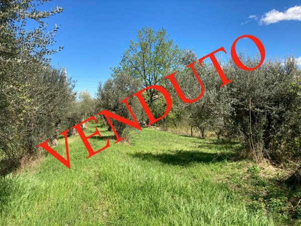 terreno agricolo in vendita a Manoppello