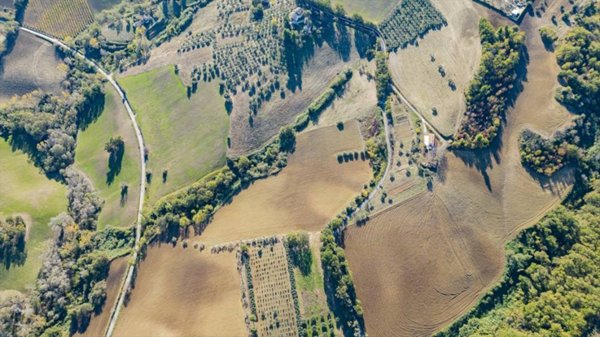 terreno agricolo in vendita a Manoppello