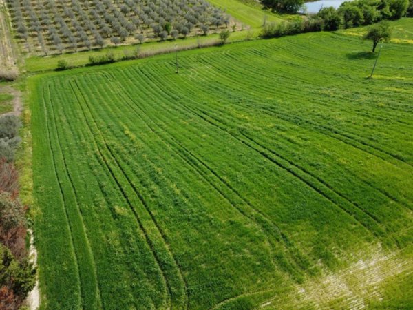 terreno agricolo in vendita a Manoppello in zona Ripacorbaria