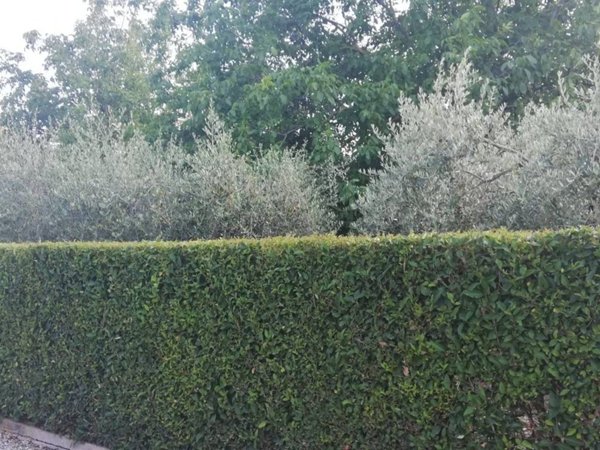 terreno edificabile in vendita a Manoppello in zona Manoppello Scalo