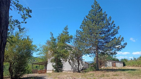 quadrivano in vendita a Manoppello