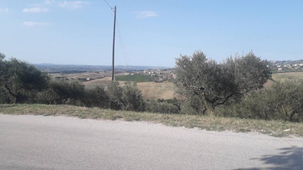 terreno agricolo in vendita a Manoppello