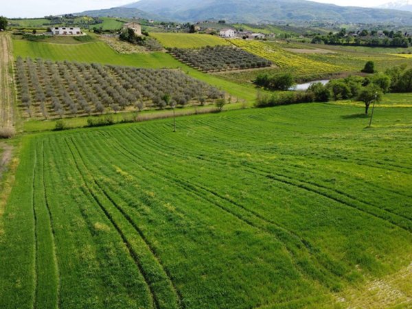 terreno agricolo in vendita a Manoppello