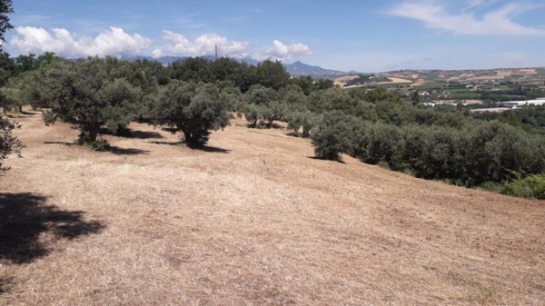 terreno agricolo in vendita a Manoppello in zona Santa Maria Arabona