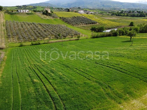 terreno agricolo in vendita a Manoppello in zona Ripacorbaria